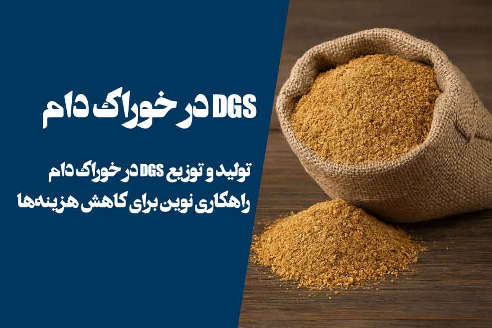 DGS در خوراک دام؛ راهکاری نوین برای کاهش هزینهها